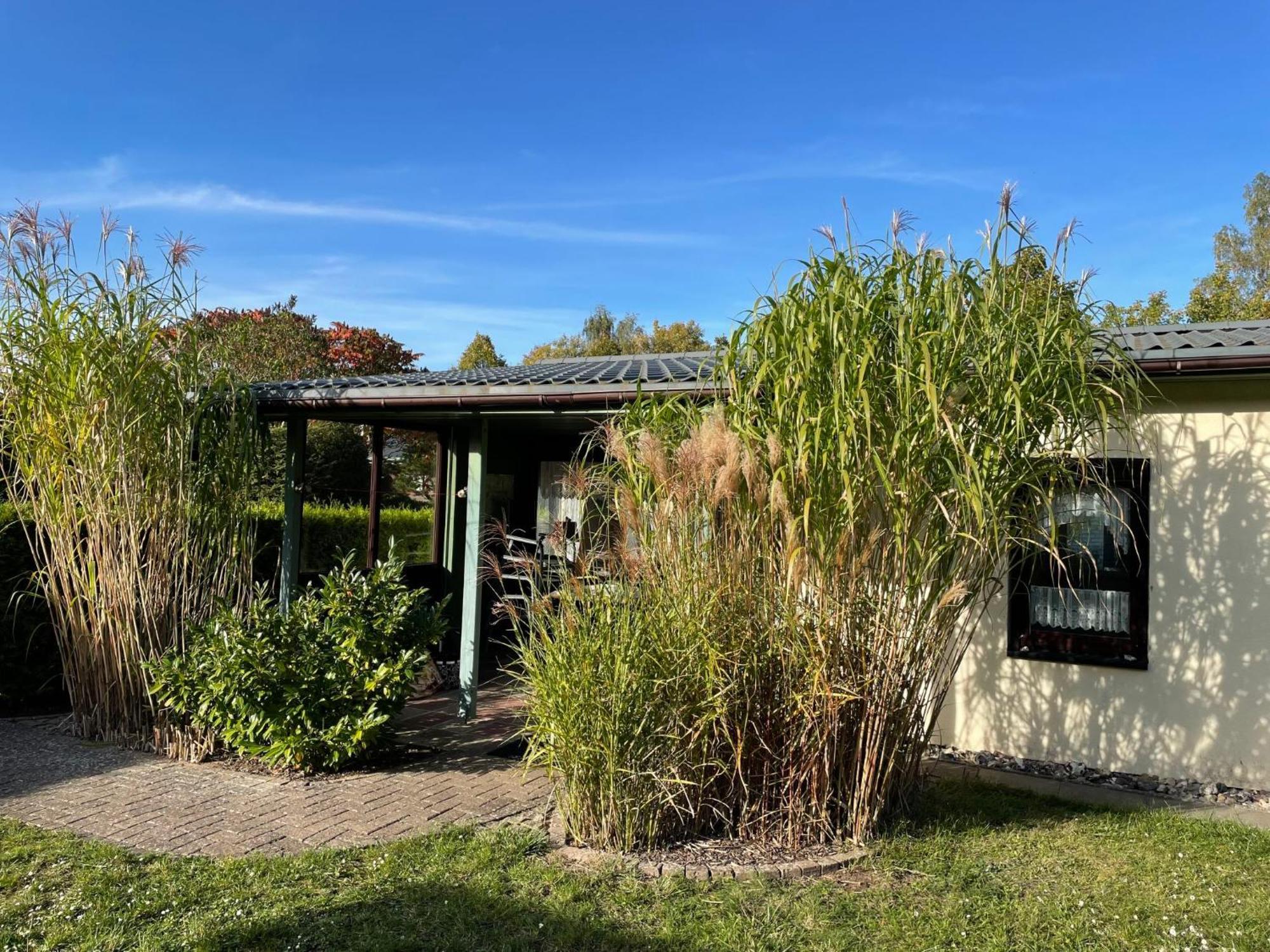 Holiday Home Am Walde-1 By Interhome Dobbertin Kültér fotó